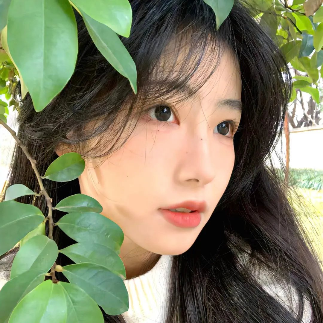 六姊妹